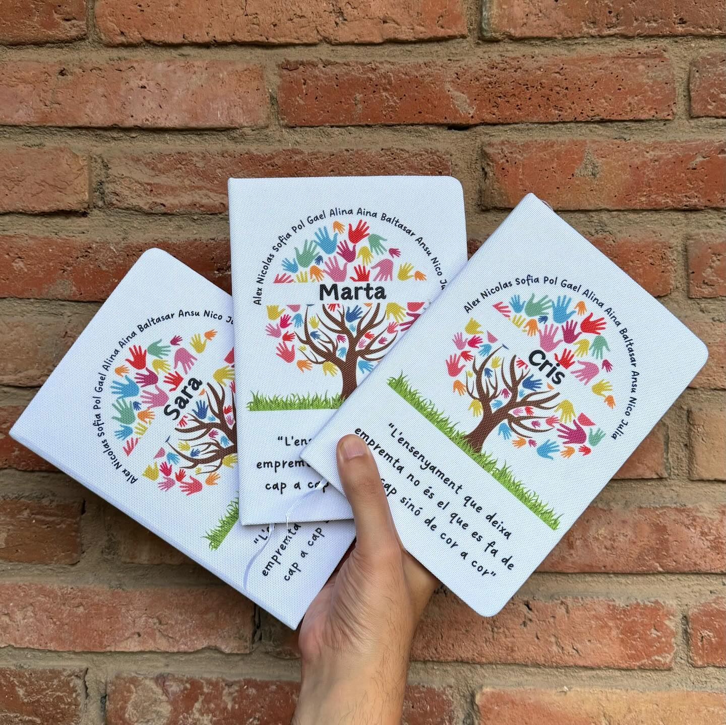 451367115 881831270435605 1272693321859570097 n